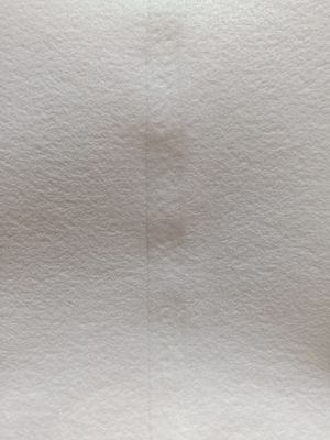 Στρογγυλή νάυλον τσάντα φίλτρων πλέγματος υγρή 300 μικρό με το πλαστικό δαχτυλίδι